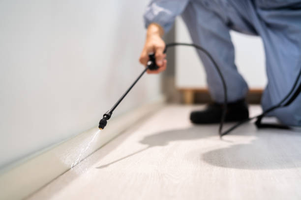 Bed Bug Pre-Treatment Preparation Assessment in Tamalpais-Homestead Valley