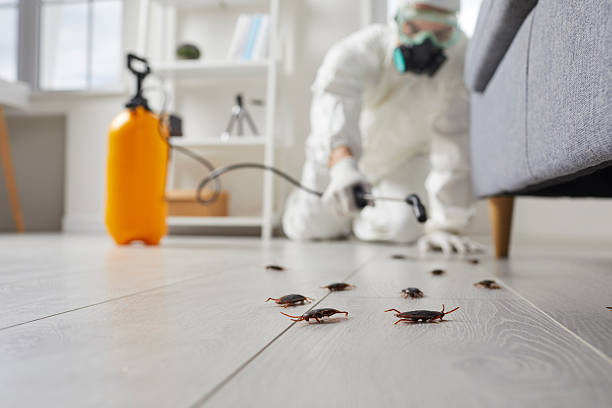 Post-Treatment Bed Bug Interceptor Monitoring in Tamalpais-Homestead Valley