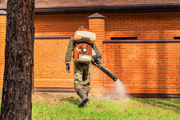 Bed Bug Clearance Verification and Documentation in Tamalpais-Homestead Valley